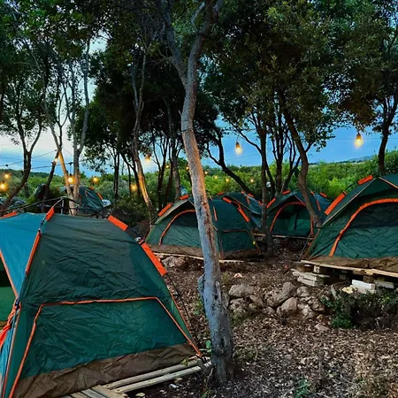 Camping Aquarium Роскошный шатер *